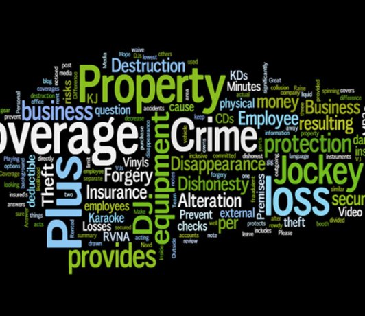 Ask DJIiM Anything: What Is The Difference Between Property and Crime Coverage?